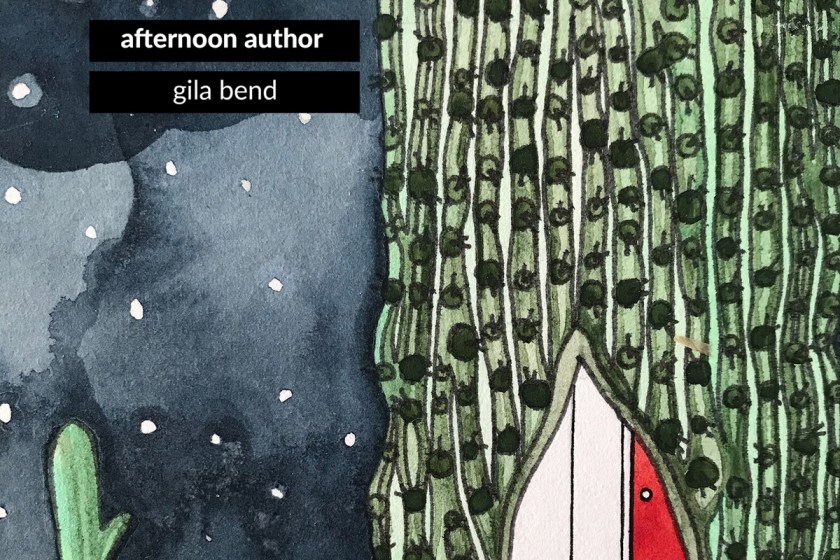 AfternoonAuthor_GilaBendImage_sm