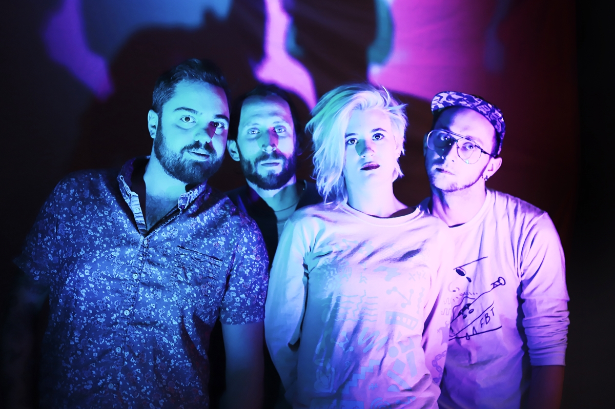 TytoAlba2- Christy Dodd