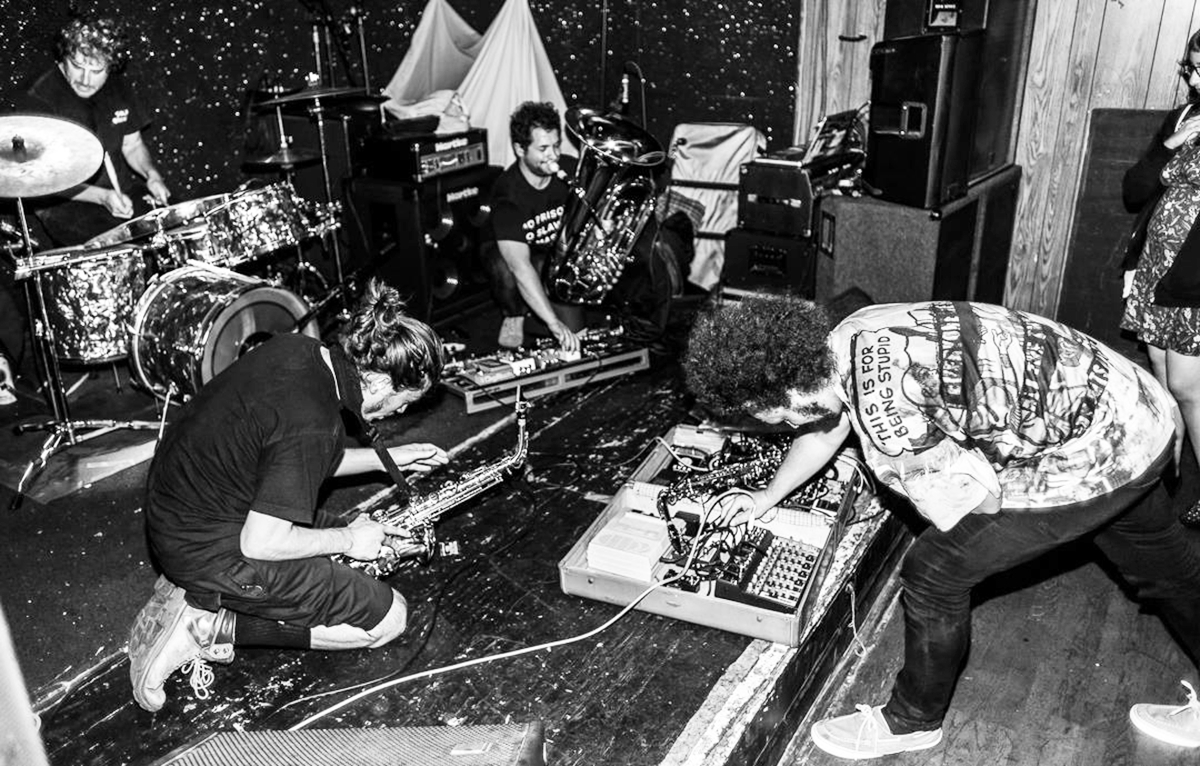 Those_Darn_Gnomes_Anita_Martinez