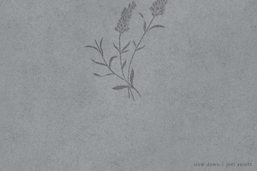 JoelAnsett_SlowDown_cover_crop