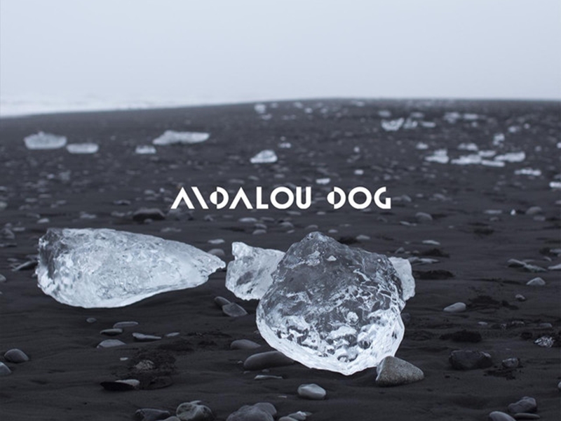 Andalou-dog1_crop