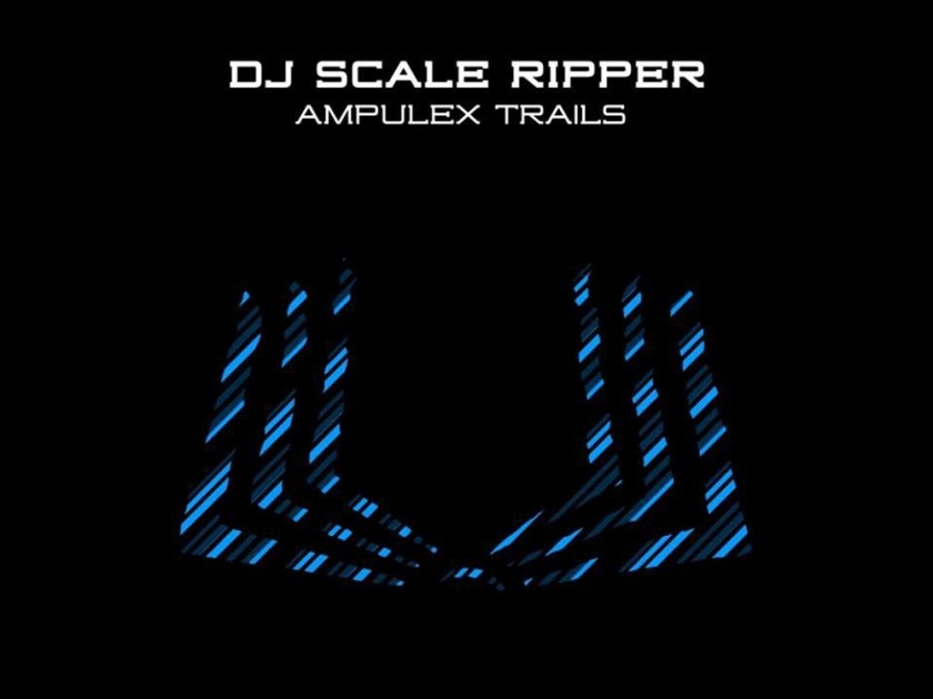 DjScaleRipper2_crop