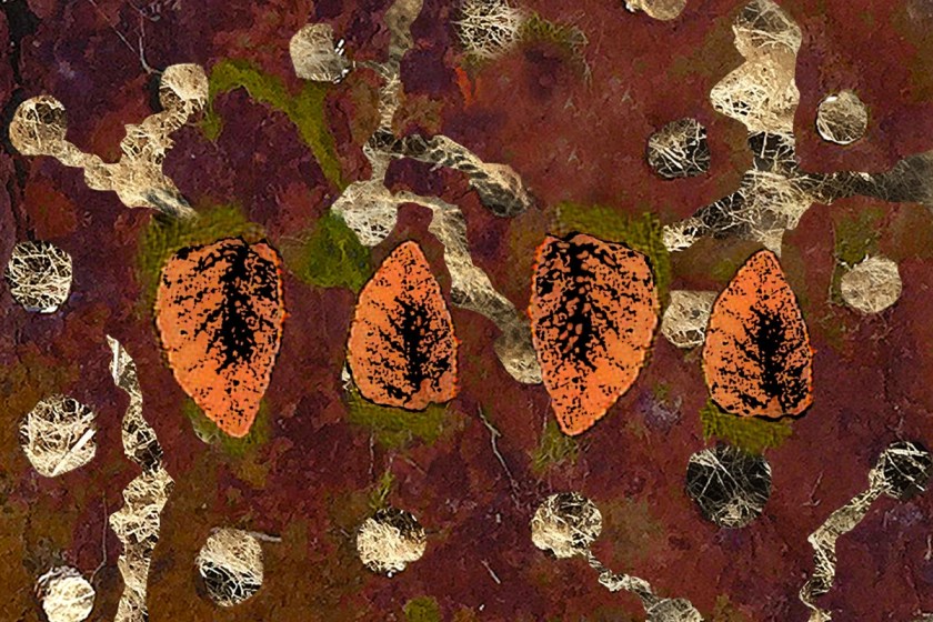 blind-the-thin-king-2_crop