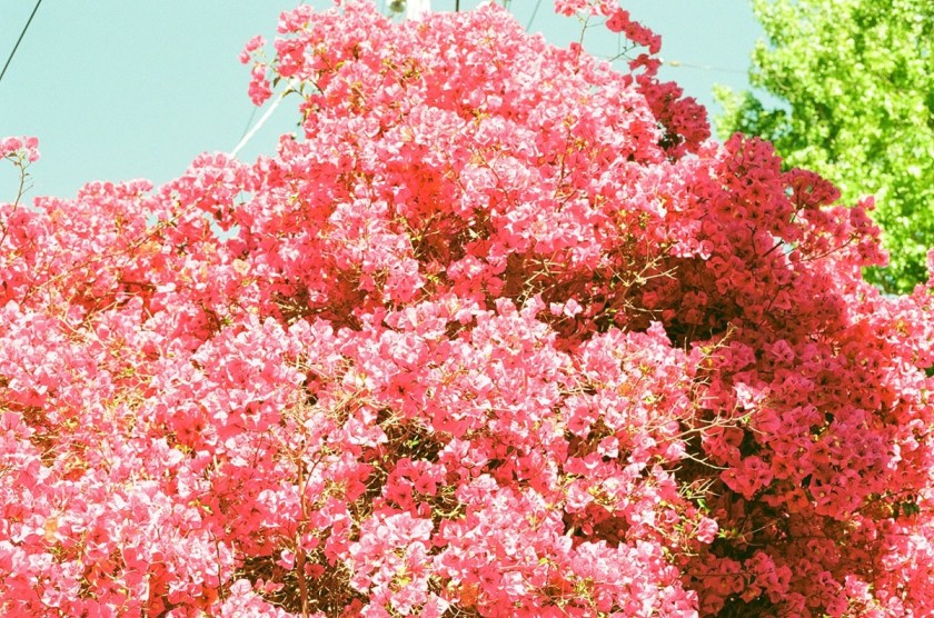 Superheart_cover1_sm