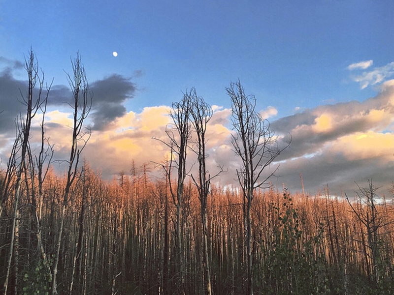 HannahConnolly_HouseHome_cover1_crop