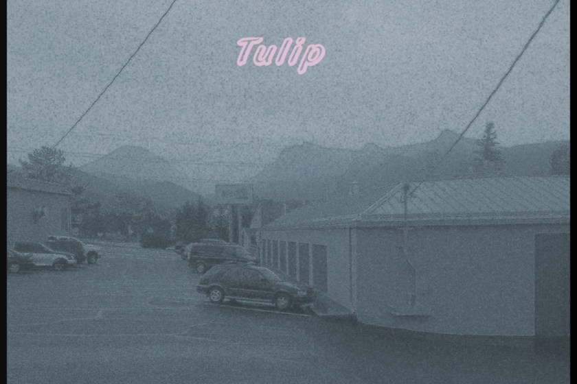 BledTape_Tulip_cover2_crop