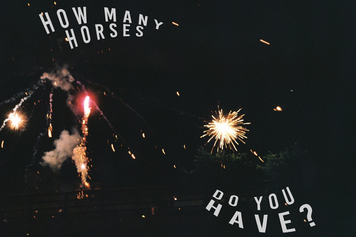 CarleySunn_HowManyHorsesDoYouHave1_crop